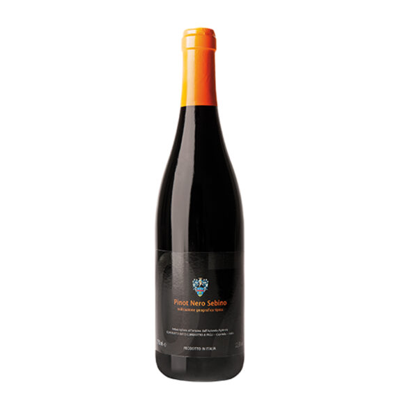 SEBINO I.G.T. PINOT NERO 2016