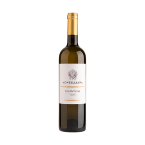 CHARDONNAY VENETO 750ML