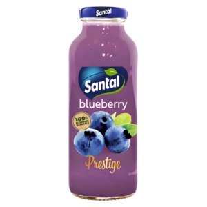 BLUEBERRY 250ML
