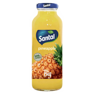 PINEAPPLE JUICE 250ML